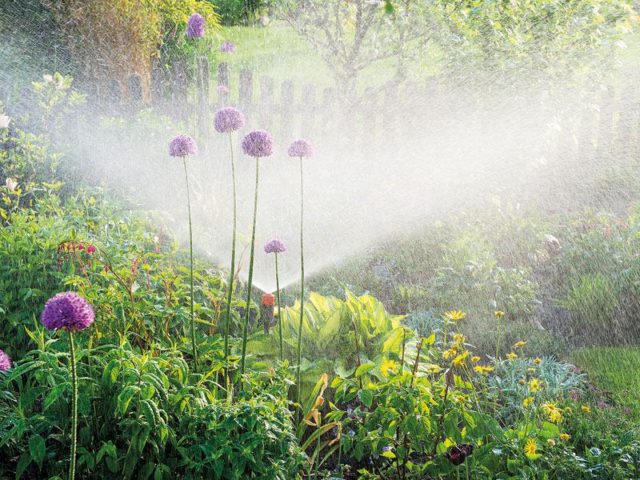 Smart Garden Bewässerung