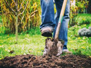 Garten anlegen Kosten Mutterboden