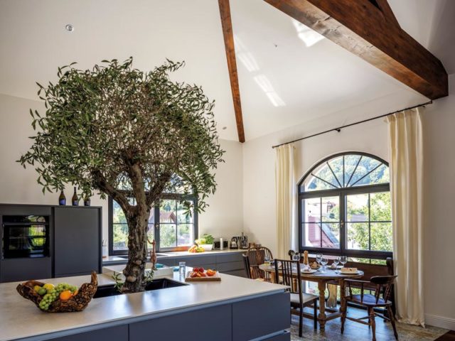 Baumeister-Haus Haus Hellmann Küche und Essplatz mit Olivenbaum