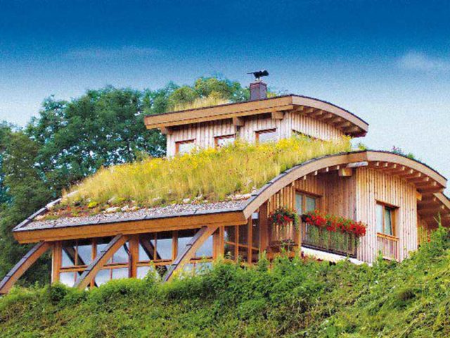 Holzhaus mit begrüntem Dach