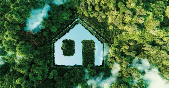 QNG Kriterien Nachhaltigkeit - See in Form eines Hauses inmitten von Bäumen und Sträuchern