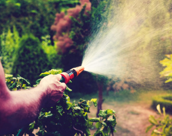 Ein Mann wässert mit einem Gartenschlauch mit Wasserspritze den Garten.