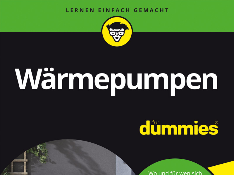 WP_Dummies_Cover